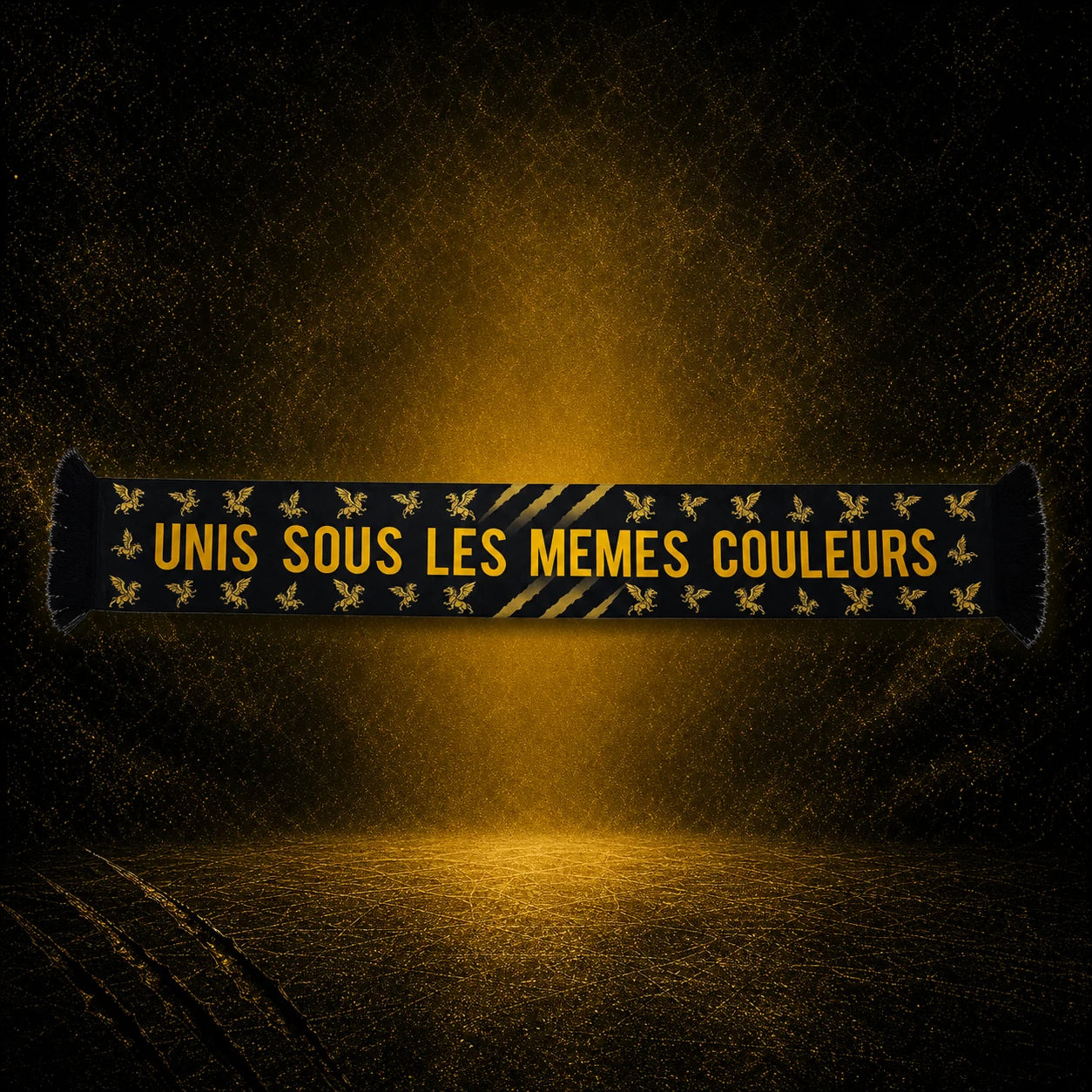 Écharpe - Rouen Terre De Hockey - verso